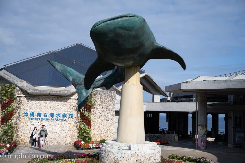 美ら海水族館入り口